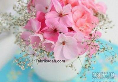 دختر زاده بهار دختر زاده بهار
