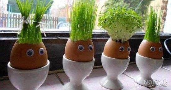سبزه عید با گندم سبزه عید با گندم