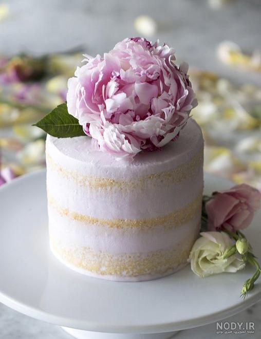 طرز تهیه کیک اسفنجی برای 10 نفر طرز تهیه کیک اسفنجی برای 10 نفر