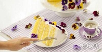 طرز تهیه کیک ساده برای 8 نفر بدون کره طرز تهیه کیک ساده برای 8 نفر بدون کره