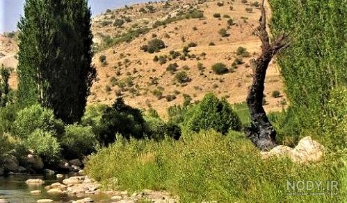 عکس از طبیعت زیبای شیراز عکس از طبیعت زیبای شیراز