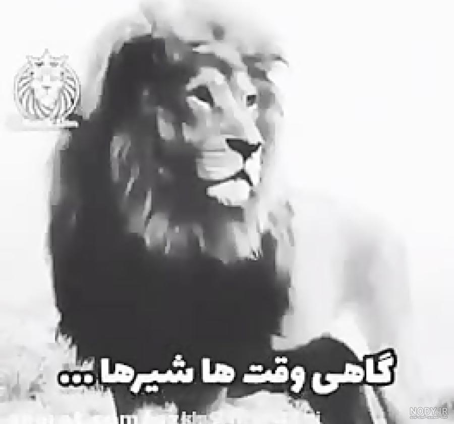 عکس تیم پرسپولیس عکس تیم پرسپولیس
