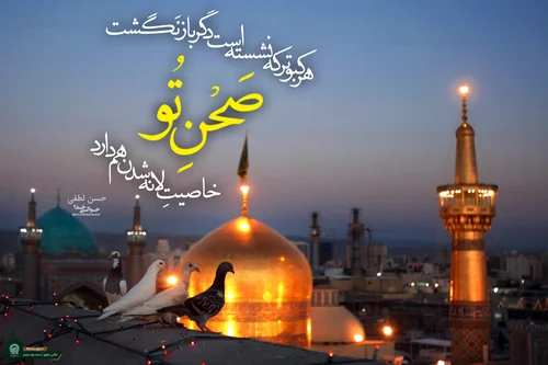 عکس حرم امام رضا در شب تولدش