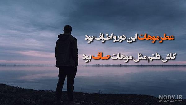 عکس خواهر علیرضا طلیسچی عکس خواهر علیرضا طلیسچی