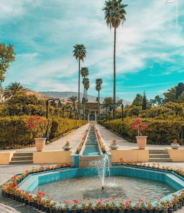 عکس شیراز در شب عکس شیراز در شب