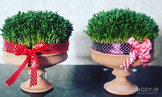 عکس طراحی سبزه عید