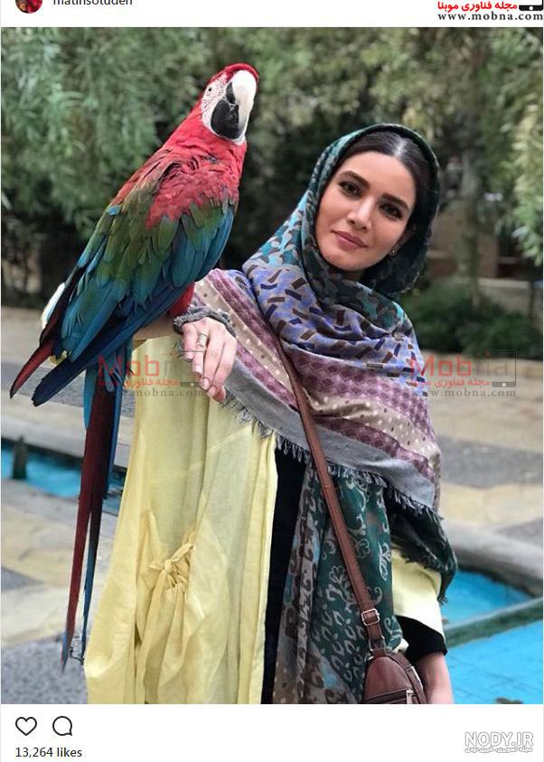 عکس طوطی غول پیکر