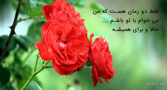 عکس نوشته با گلهای زیبا عکس نوشته با گلهای زیبا