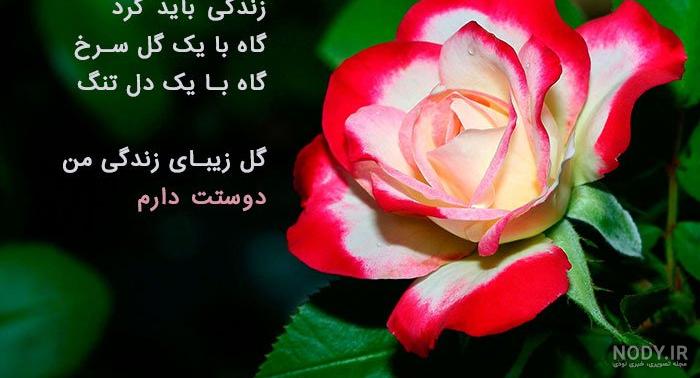 عکس نوشته زیبا همراه با گل عکس نوشته زیبا همراه با گل