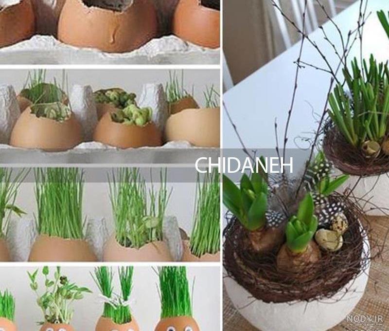 عکس های تزیین سبزه عید عکس های تزیین سبزه عید