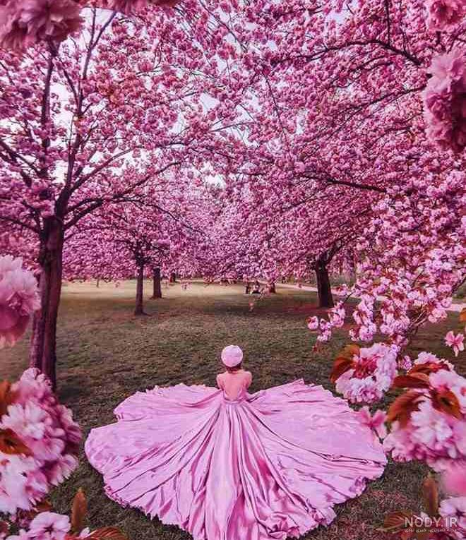 عکس های پروفایل بهاری زیبا