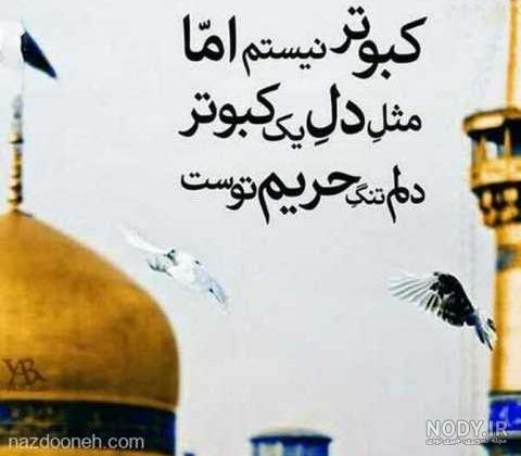 عکس پروفایل امام رضا دلتنگی