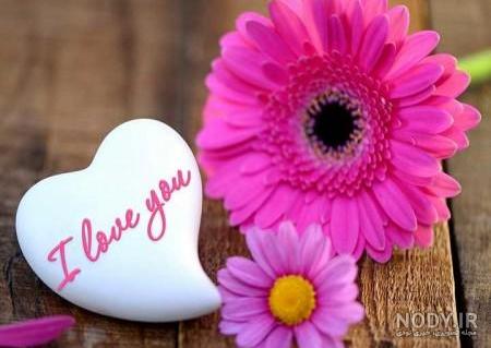 عکس گل برای نوشتن متن عکس گل برای نوشتن متن
