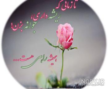 عکس گل تقدیم به شما عکس گل تقدیم به شما