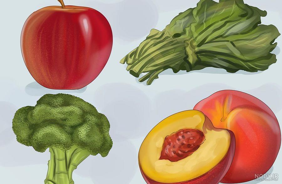 غذای اصلی طوطی غذای اصلی طوطی