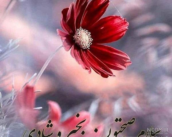 متحرک زیباترین گیف صبح بخیر