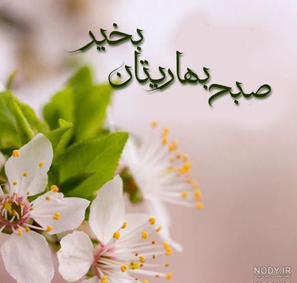 متن دختر بهاری متن دختر بهاری