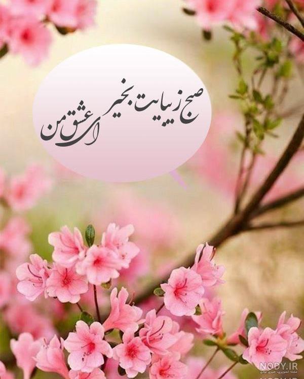 متن در مورد بهار برای استوری متن در مورد بهار برای استوری