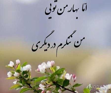 متن درباره بهار و باران متن درباره بهار و باران