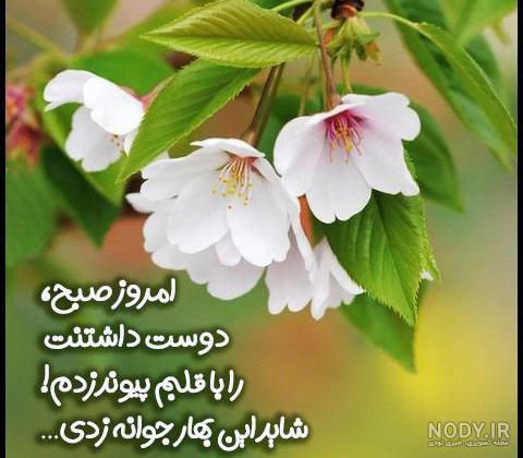 متن زیبای بهاری متن زیبای بهاری