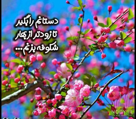 متن کوتاه در مورد شکوفه های بهاری متن کوتاه در مورد شکوفه های بهاری