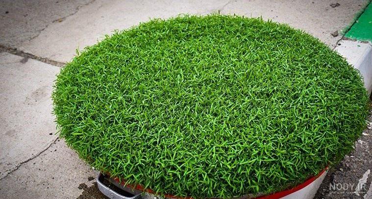 مدل سبزه عید 99 مدل سبزه عید 99