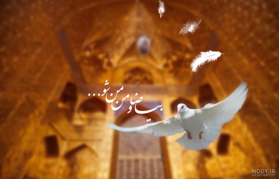 پروفایل امام رضا دلتنگتم