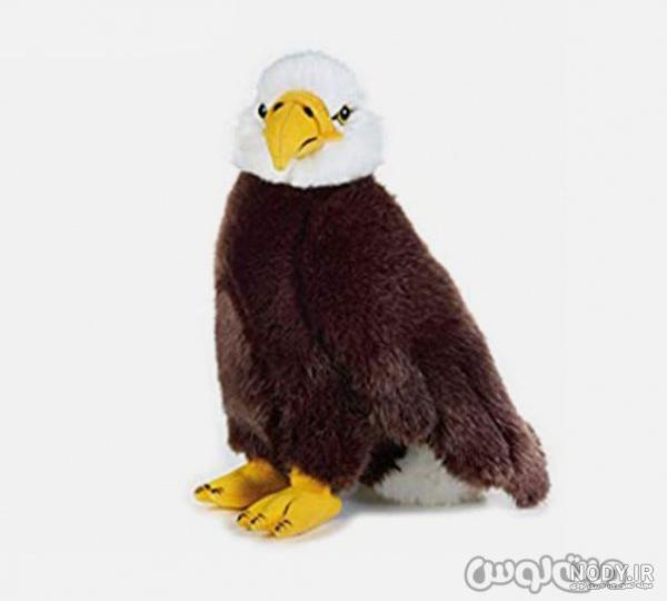 عکس عقاب خنده دار عکس عقاب خنده دار