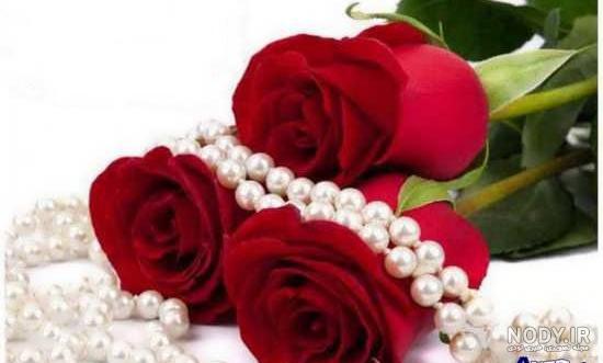 عکس گل های زیبا عاشقانه