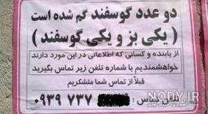 تصاویر بسیار خنده دار و جالب