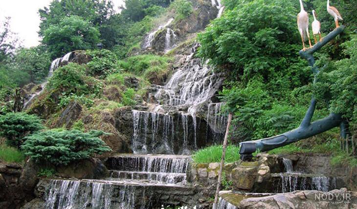 جنگل تاریک لاهیجان کجاست جنگل تاریک لاهیجان کجاست