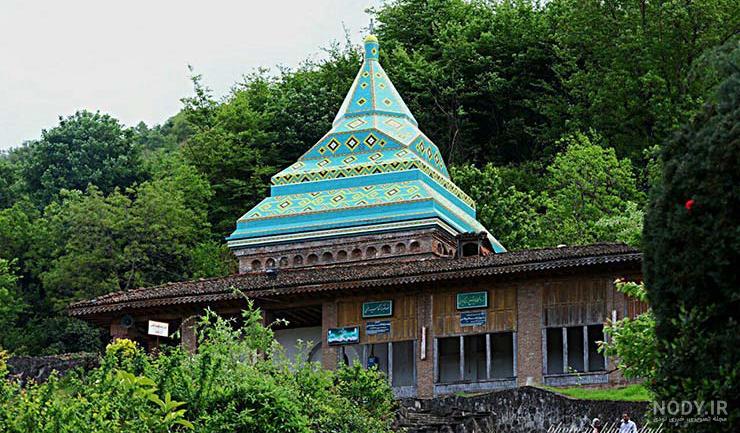 جنگل تاریک لاهیجان کجاست جنگل تاریک لاهیجان کجاست