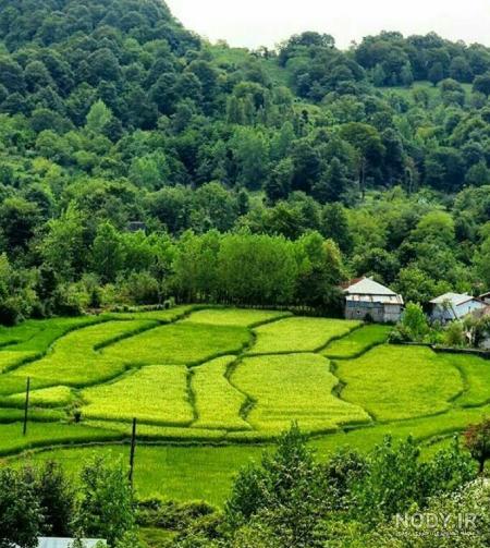 زیباترین جای لاهیجان زیباترین جای لاهیجان