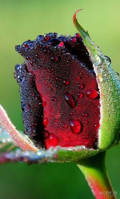 عکس برای وضعیت واتساپ غمگین عکس برای وضعیت واتساپ غمگین