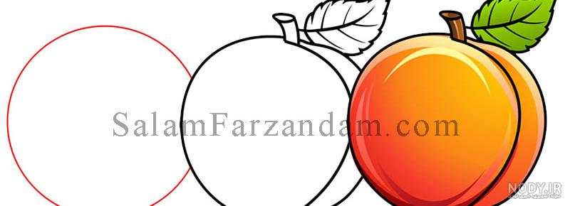 عکس ساده هلو عکس ساده هلو