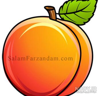 عکس شلیل عکس شلیل