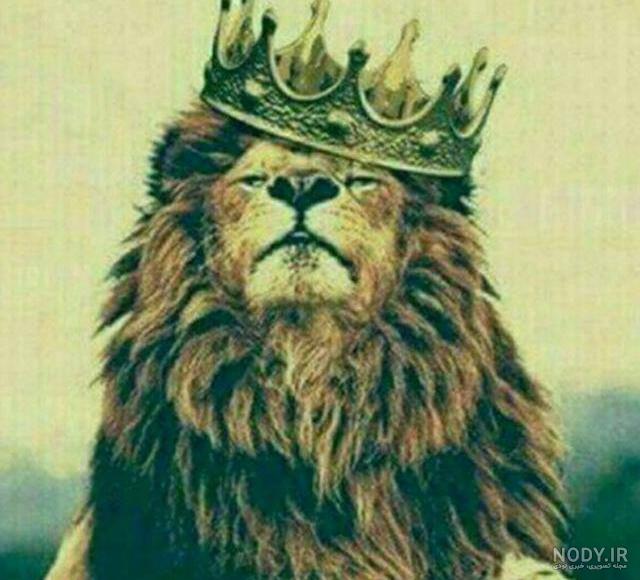عکس شیر پرسپولیس با تاج