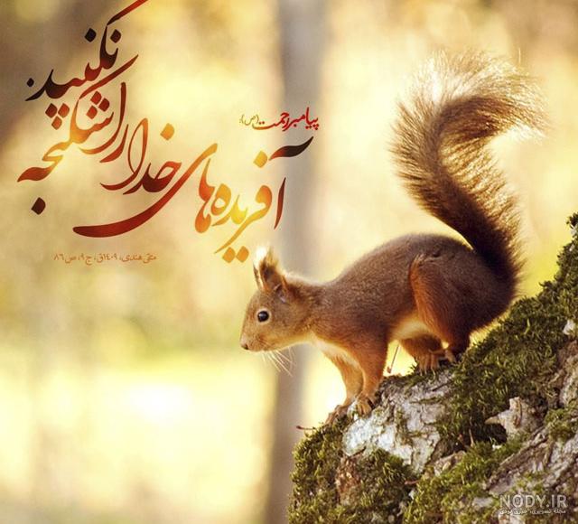 عکس نوشته احادیث حضرت علی عکس نوشته احادیث حضرت علی