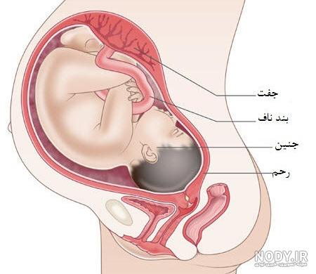 عکس پروفایل ماه آخر بارداری