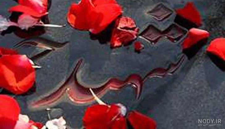 عکس گل لاله زرد عکس گل لاله زرد