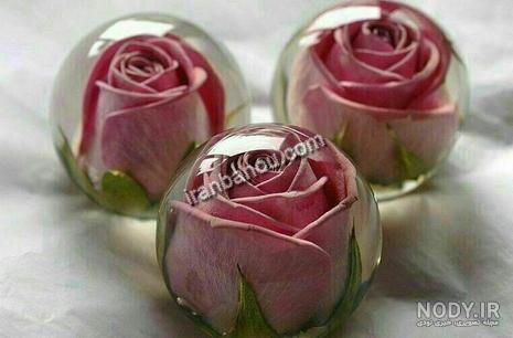 فیلم ژله رولی دو رنگ فیلم ژله رولی دو رنگ
