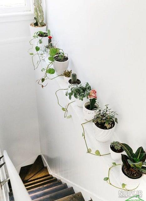 میز گل و گیاه