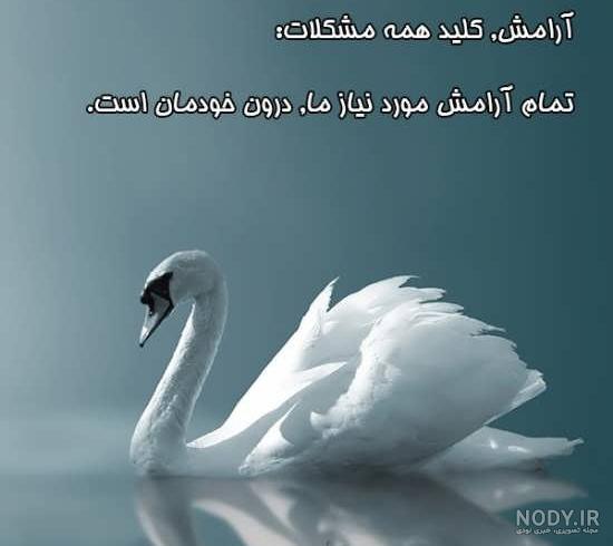 پروفایل آرامش من پروفایل آرامش من
