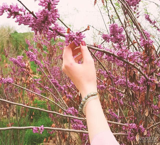 تصویر زمینه بهاری زیبا