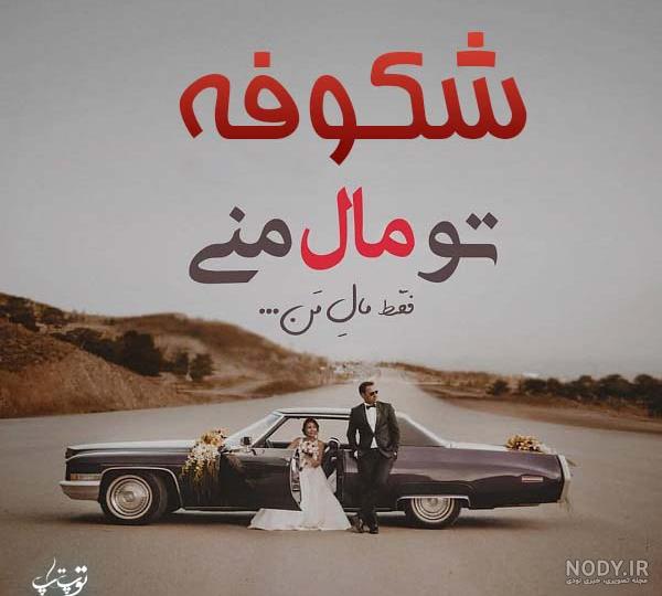 عکس درخت بهاری