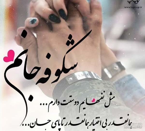 عکس شکوفه های بهاری با کیفیت بالا