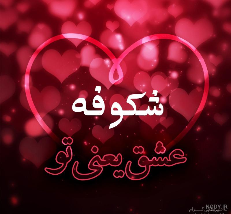 عکس شکوفه هلو