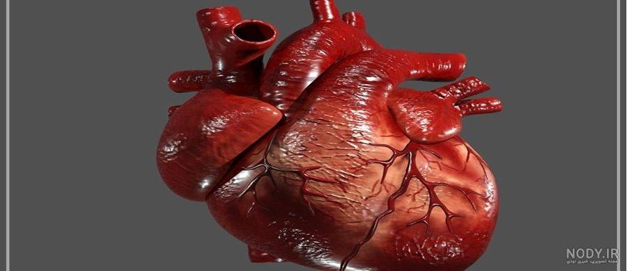 نقاشی قلب عاشقانه