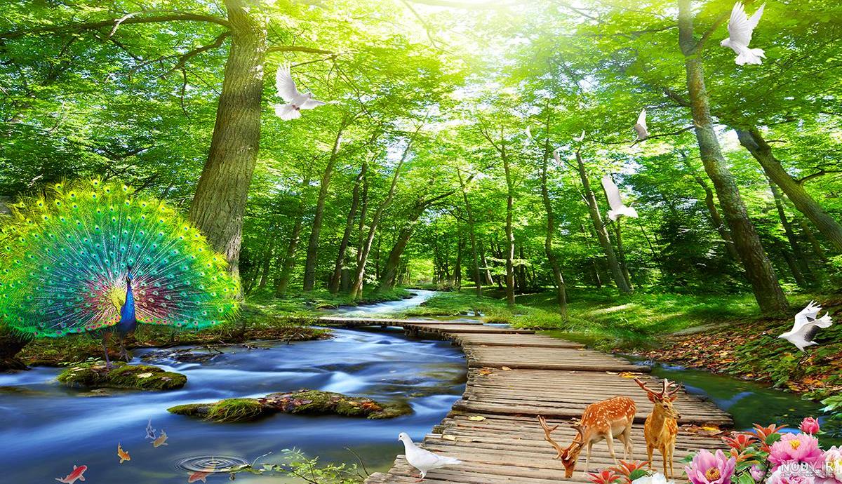 عکس طبیعت زیبا برای پروفایل