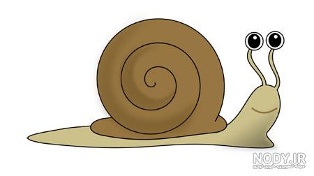  عکس حلزون صدف دار